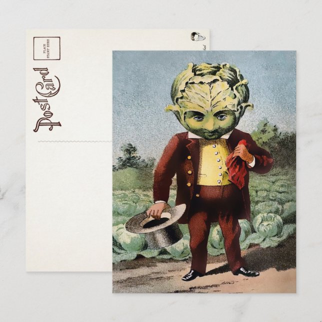 Carte postale victorienne de chou (Devant / Derrière)