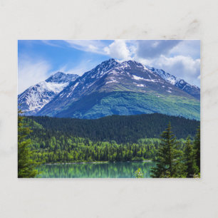 Carte postale vide