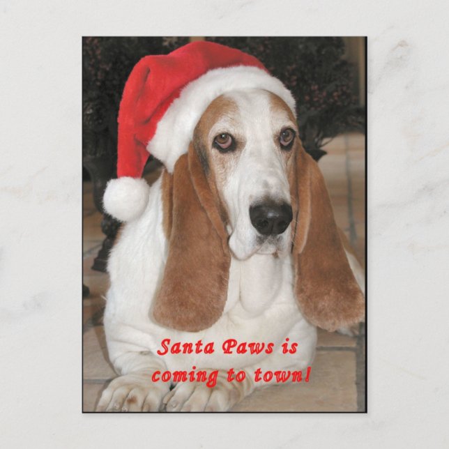 Carte postale vide de pattes de Père Noël (Devant)