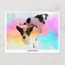 Carte postale Vide Zoey & Gracie Disco !