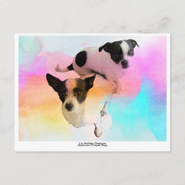 Carte postale Vide Zoey & Gracie Disco ! (Devant)