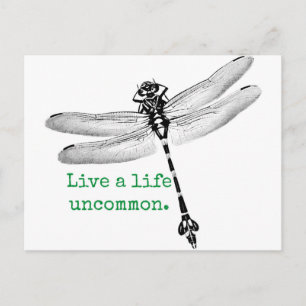Carte Postale Vie Dragonfly rare