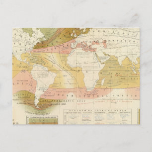 Carte Postale Vie marine