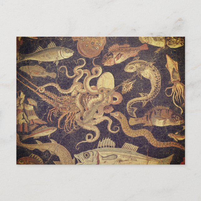 Carte Postale Vie marine, mosaïque de Pompéi (Devant)