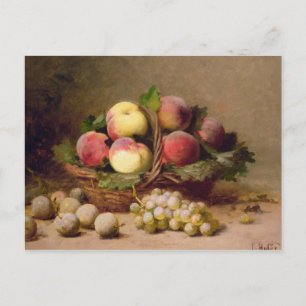Carte Postale Vie morte des fruits