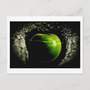 Carte Postale vie sur la pomme