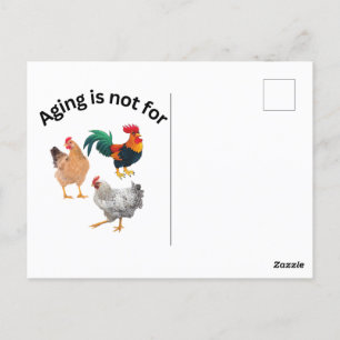 Carte Postale Vieillir n'est pas pour les poulets. poulets, humo