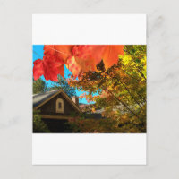 Carte postale Vielle Grange Foliage