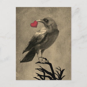 Carte postale vierge avec amour de corbeau