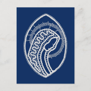 Carte Postale Vierge Marie, dentelle blanche, bleu marine