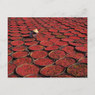 Carte Postale Vietnam. Bonbons à sécher dans des paniers sous