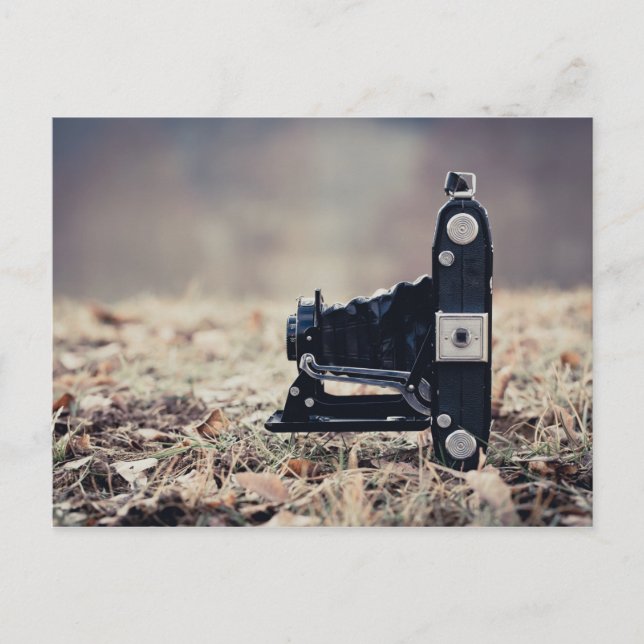 Carte Postale Vieux appareil photo pliant (Devant)