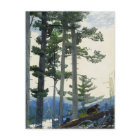 Vieux Colons Winslow Homer