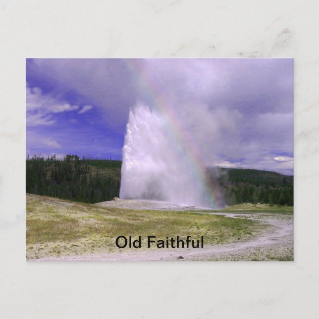 Carte Postale Vieux fidèles dans le parc national de Yellowstone (Devant)