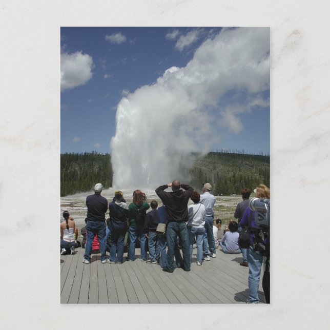 Carte Postale Vieux Geyser (Devant)