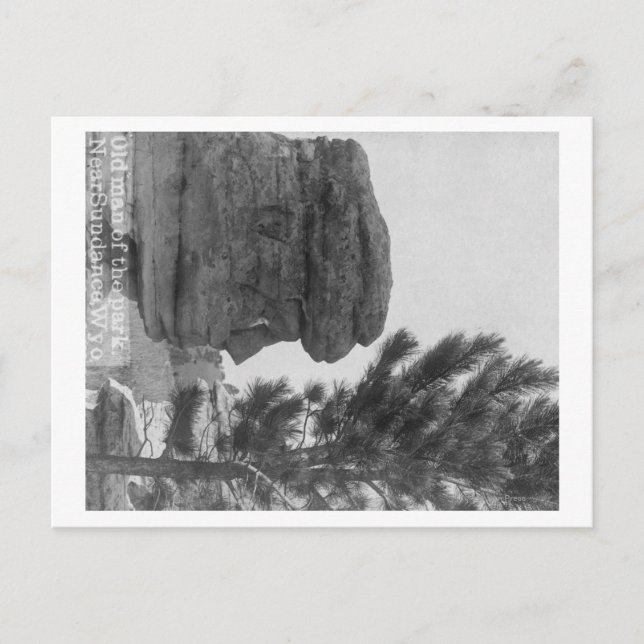 Carte Postale "Vieux Homme" du parc près de Sundance Photographi (Devant)