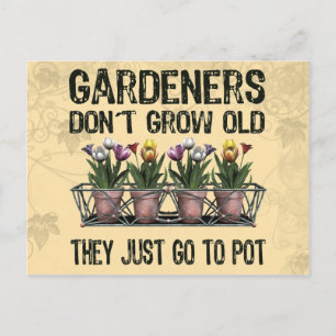 Carte Postale Vieux jardiniers