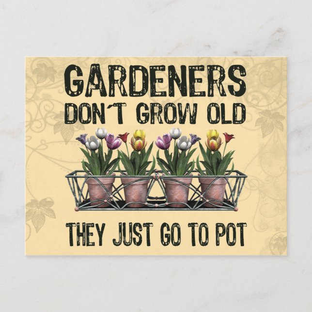 Carte Postale Vieux jardiniers (Devant)