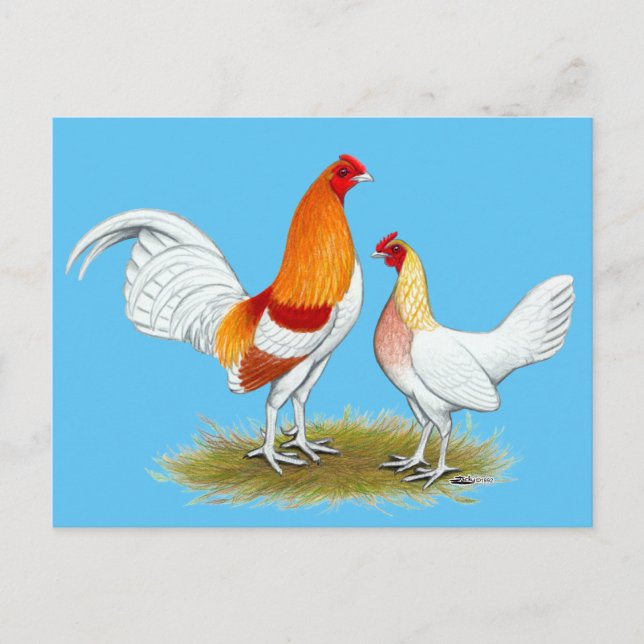 Carte Postale Vieux jeu anglais Bantam :  Pyle rouge (Devant)