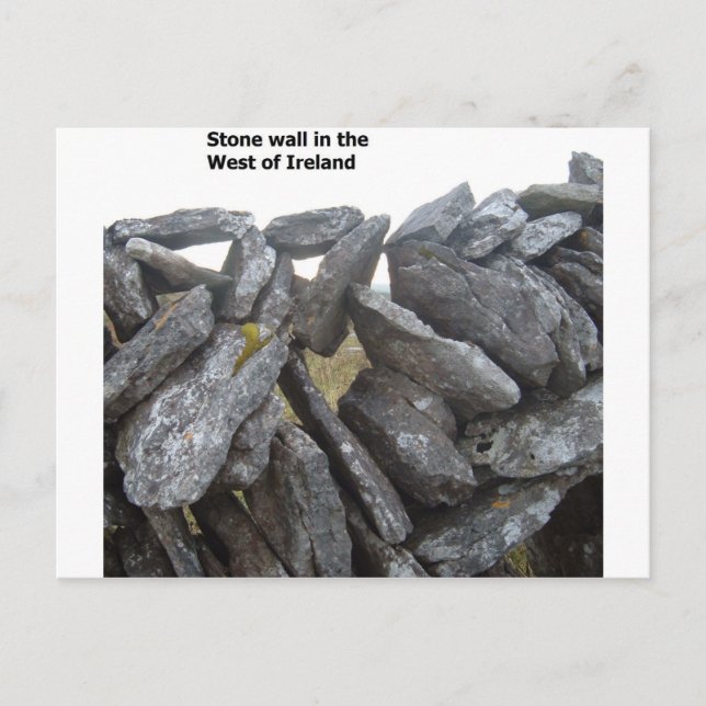 Carte Postale Vieux murs en pierre en Irlande (Devant)
