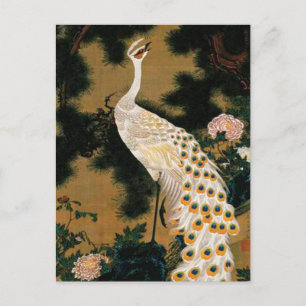 Carte Postale Vieux pin et paon par Ito Jakuchu
