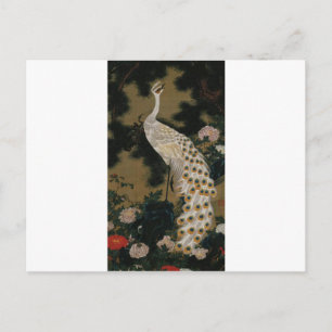 Carte Postale Vieux pin et paon par Ito Jakuchu