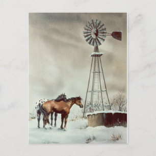 Carte Postale VIEUX WINDMILL par SHARON SHARPE