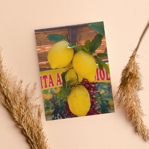 Carte Postale Vigne de citron à Positano Italie