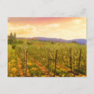 Carte Postale Vignoble à Dawn Kelowna Colombie-Britannique Canad