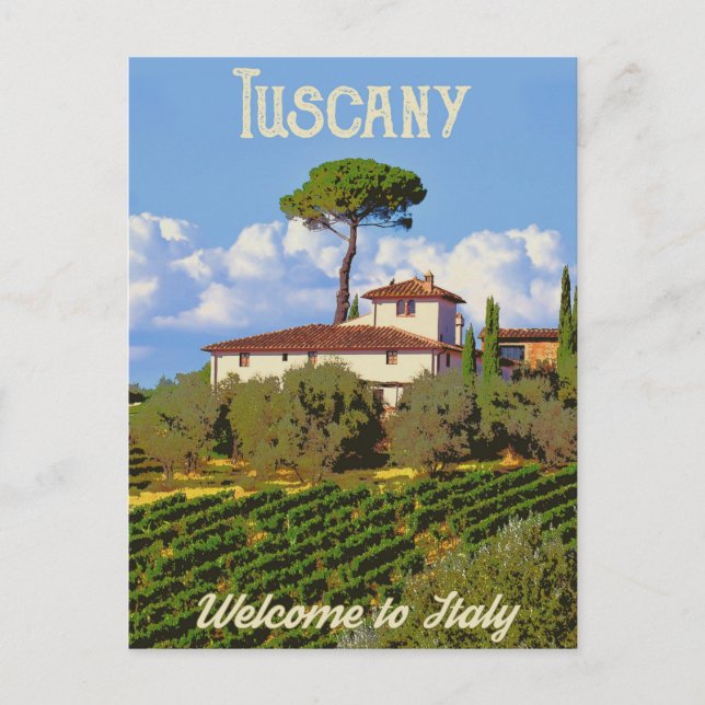 Carte Postale Vignoble de Toscane (Devant)
