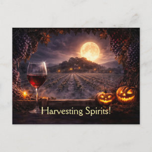 Carte Postale Vignoble de vin de l'Halloween Châteauneuf-du-Pape