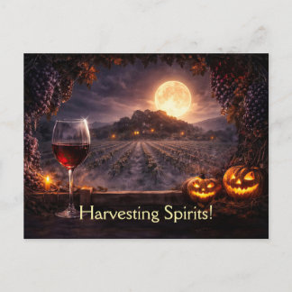 Carte Postale Vignoble de vin de l'Halloween Châteauneuf-du-Pape