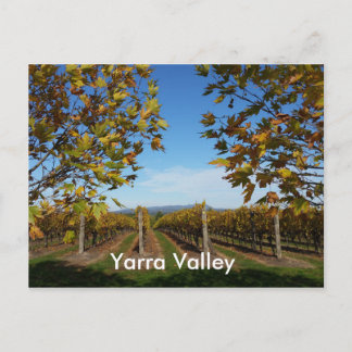 Carte Postale Vignoble de Yarra Valley, Melbourne, Australie