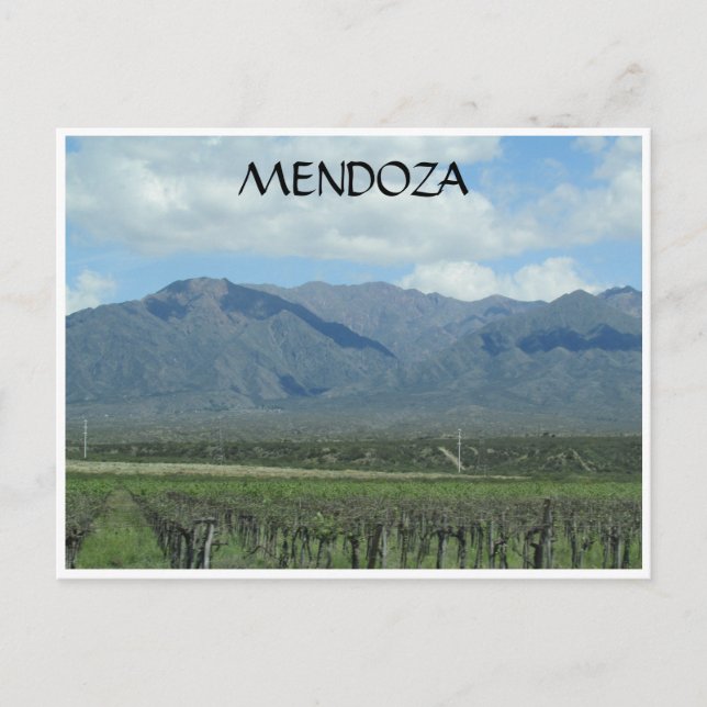 Carte Postale vignoble des Andes de Mendoza (Devant)