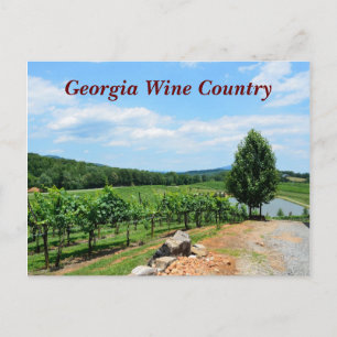 Carte Postale Vignobles de Géorgie, USA