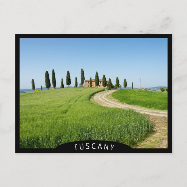 Carte Postale Villa ferme avec cyprès en Toscane (Devant)