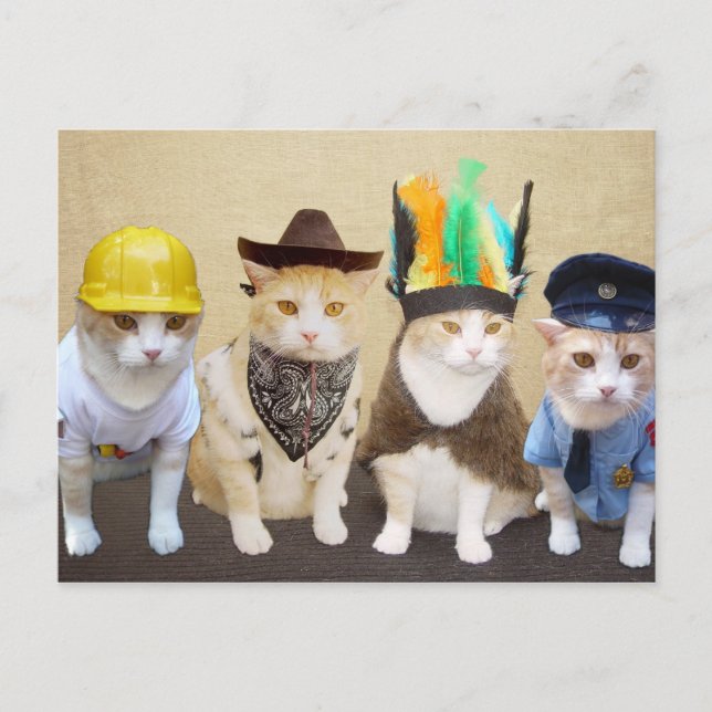 Carte Postale Village Kitties (Devant)