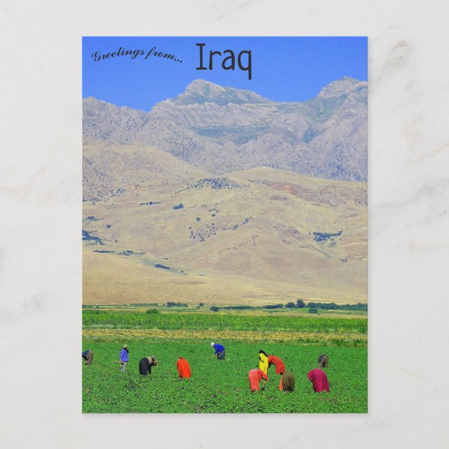 Carte Postale Villageois kurdes irakiens en Irak (Devant)