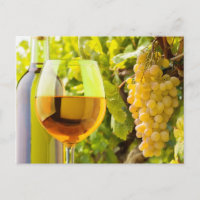 Vin Blanc Et Raisins