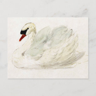 Carte Postale Vin de dessin par Aert Schouman