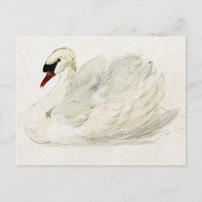 Carte Postale Vin de dessin par Aert Schouman (Devant)