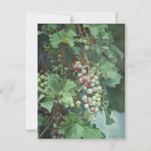 Carte Postale Vin de raisin réaliste avec Feuille - Art