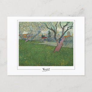 Carte Postale Vincent Van Gogh #24 - Art