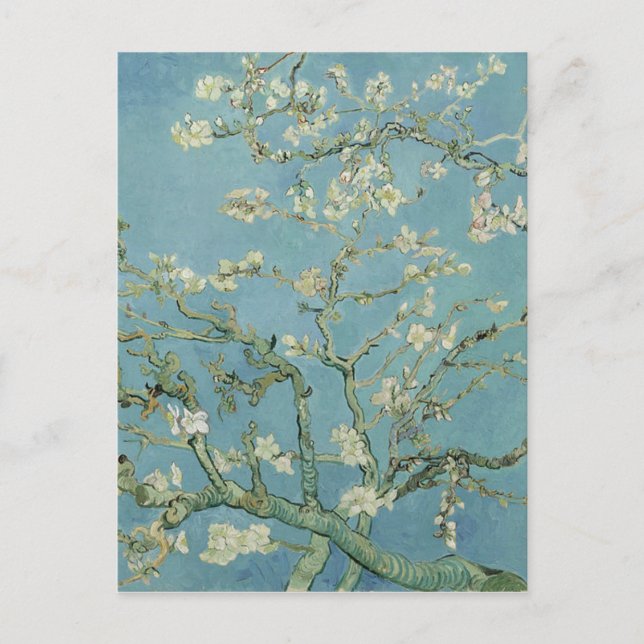 Carte Postale Vincent Van Gogh Ammond Blossom Floral Peinture (Devant)