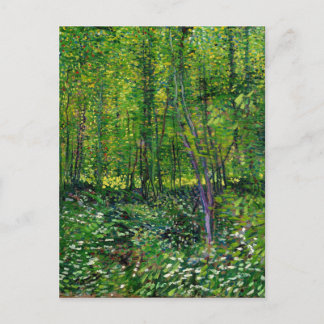 Carte Postale Vincent Van Gogh Arbres Et Sous-Croissance