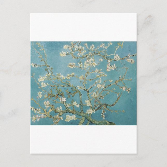 Carte Postale Vincent Van Gogh Branches d'Amandiers (Devant)