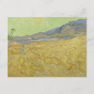 Carte Postale Vincent Van Gogh, Champ de blé avec un moissonneur