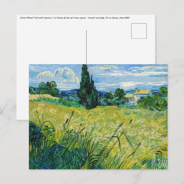 Carte Postale Vincent van Gogh - Champ de blé vert avec cyprès (Devant / Derrière)