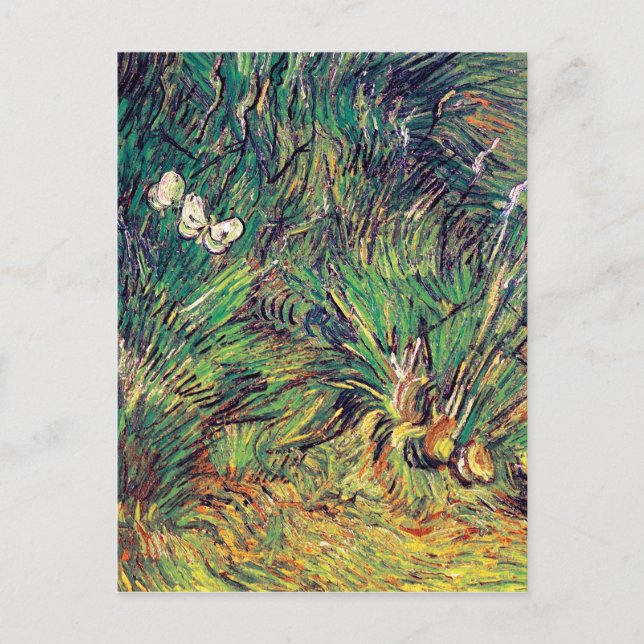 Carte Postale Vincent Van Gogh - Deux papillons blancs Art (Devant)