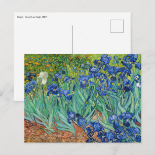 Carte Postale Vincent Van Gogh - Iris